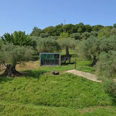 Nature's Garden * Pelekas