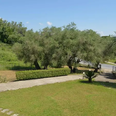 Nature's Garden